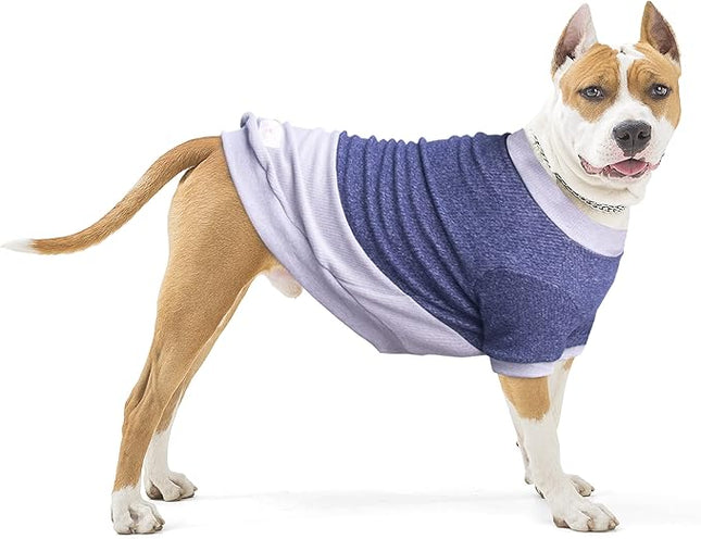 Large Dog Color Block Sweaters Warm Clothes Pullover Sweatshirts for Pitbull Labrador, Blue Grey, 4X-Large