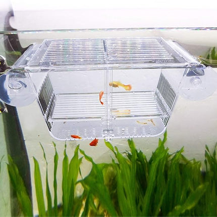 capetsma Fish Breeding Box, Acrylic Fish Isolation Box with Suction Cups, Aquarium Acclimation Hatchery Incubator for Baby Fishes Shrimp Clownfish and Guppy... Small Size (S)