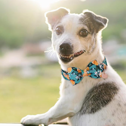 Dog Collar with Bow Tie, Durable Comfortable Cotton Dog Bowtie Collar with Metal Buckle for X-Large Dog Girl Boy, Summer Cute Dog Collar, XL