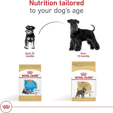 Royal Canin Breed Health Nutrition Miniature Schnauzer Adult Dry Dog Food, 10 lb Bag