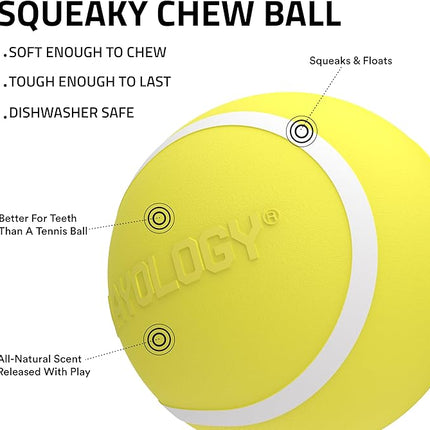 Playology Dog Toys | Squeaky Chew Ball - Bouncy Durable Floating Fetch Ball for Dogs, Value 3-Pack | Small Chicken Scented Toy - Easy to Clean and Made from Non Toxic Materials