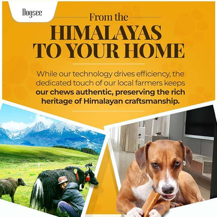 Dogsee Original Himalayan Yak Cheese Chews 1lb (XL - 3 Pieces) | Rawhide-Free | Long-Lasting | Fights Plaque & Tartar | Supports Dental Health