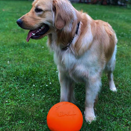 Jolly Pets Bounce-n-Play Dog Toy Ball, 8 Inches/Large, Orange, (Model: 2508 OR)