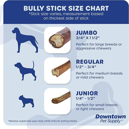 Downtown Pet Supply Bully Sticks - 12" REGULAR - 48 Pack -SOUTH AMERICA & TURKEY