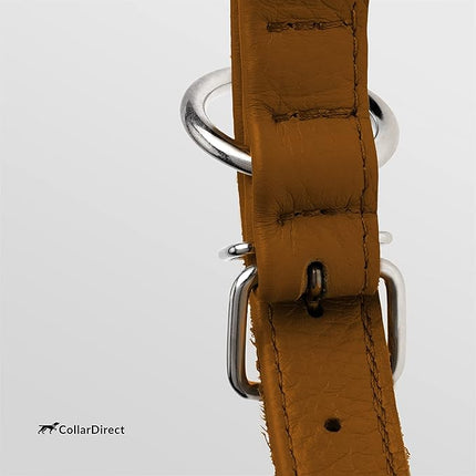 CollarDirect Rolled Leather Dog Collar, Soft Padded Round Puppy Collar, Handmade Genuine Leather Collar Dog Small Large Cat Collars 13 Colors (11-14 Inch, Cinnamon Textured)