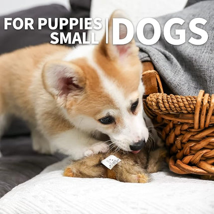 ALL FOR PAWS Squeaky Dog Toys, Dog Stuffed Animal Toys, Plush Toy for Small Medium Large Dogs, Puppy Chew Toy with Squeaker, Brown Rabbit-S