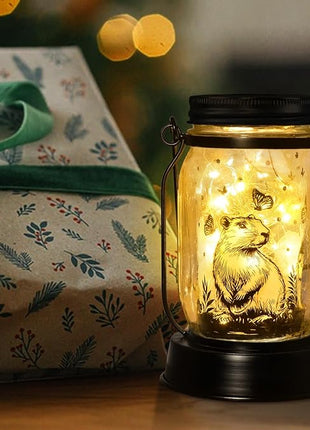 Capybara Gifts for Women/Men Capybara Solar Lanterns Mom Grandma Birthday Present Lantern Memorial Lights Solar Garden Decoration Outside for Yard, Patio,Backyard,Porch Torches