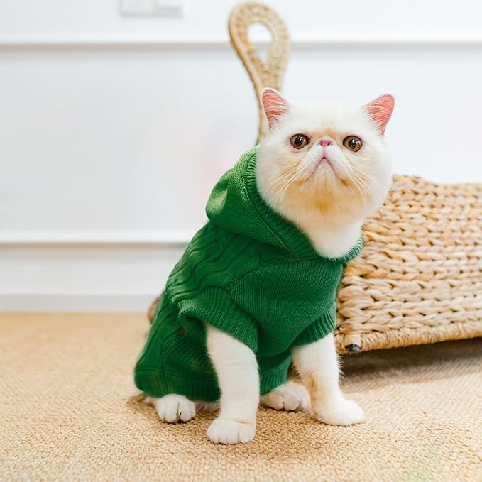 PUPTECK Winter Dog Cat Sweater Coat - Soft Cold Weather Clothes Knitwear for Kitties & Small Dogs Indoor Outdoor Walking Warm, Knitted Classic for Doggies Kitties Girls Boys, Light Green M