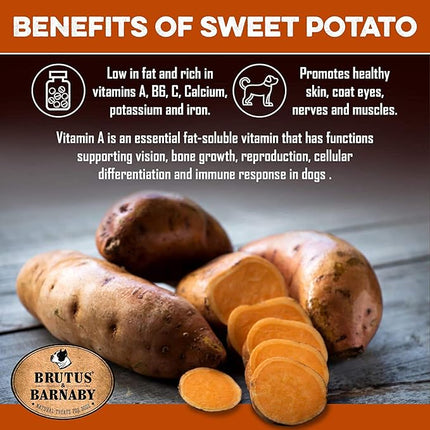 BRUTUS & BARNABY USA Sweet Potato Dog Treats - Crunchy Grain Free Cinnamon Apple Sticks, Promotes Positive Gut Health with Natural Anti-Diarrhea Properties (Cinnamon & Apple, 8 oz)
