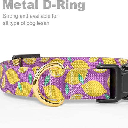 Rnivvi Dog Collar for Small Dogs, Cute Heavy Duty Adjustable Puppy Collar with Quick Release Buckle for Girl & Female, Pet Accessories for Walking Running, S Length 3/4" Width, Lemon