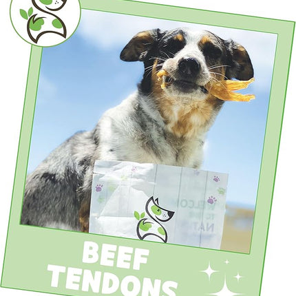 Nature Gnaws Beef Tendons for Dogs 4-5" (12 Count) - Mixed Thickness - Long Lasting for Small and Medium Dogs - Natural Beef Jerky Dog Chew Bones - Rawhide Free