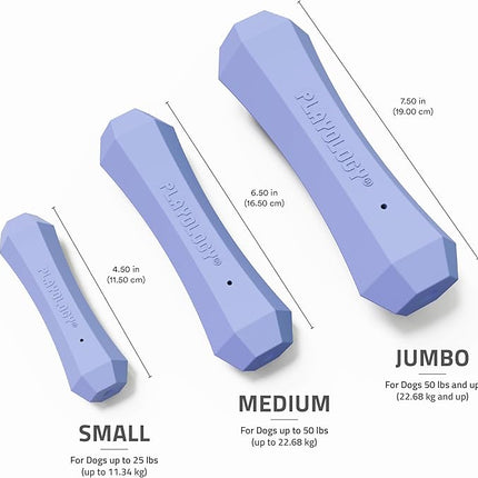 Playology Dog Toys | Durable Squeaky Chew Stick for Dogs | Medium Blueberry Scented Toy - Easy to Clean and Made from Non Toxic Materials