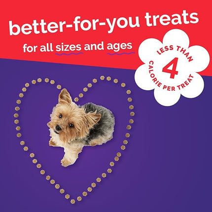 Fruitables Skinny Mini Dog Treats, Healthy Sweet Potato Treat for Dogs, Low Calorie & Delicious, Puppy Training, No Wheat, Corn or Soy, Made in the USA, Bacon and Apple Flavor, 12oz