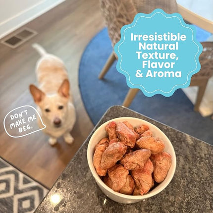 hotspot pets Freeze Dried Chicken Hearts for Cats & Dogs - 1LB Big Bag- Made in USA -Single Ingredient All Natural Grain-Free -Resealable Bag- Perfect for Training, Topper or Snack, Allergen-Free