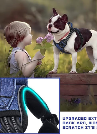 BUMBIN Dog Harness for Large Dogs, No Pull Adjustable No Choke Pet Vest with Dog Leash Fit Smart Reflective Pet Walking Harness for Training Easy Control Soft Handle Denim Blue S