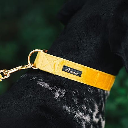 ARING PET Velvet Dog Collar and Leash Set, Bright Yellow Dog Collar and Leash, Adjustable Soft Collars for Dogs