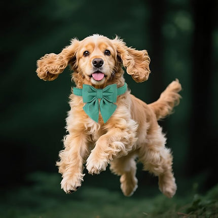 Maca Bates Jade Green Dog Collar with Cute Solid Sailor Bow Tie for Extra Large Girl Boy Dogs,Adjustbale Durable Breakaway Soft Collars with Bowtie for Female Male Puppy,Pet with Metal Buckle