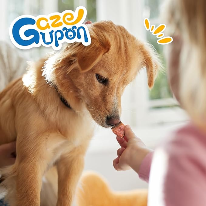 gazeupon Dog Treats,Triple Flavored Meat Bites for Dogs,Healthy Training Treats for Dogs,Made with Real Chicken,Duck,Beef,14.1 oz