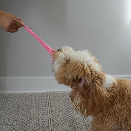 SPOT Skinneeez Flamingo 13 Inch Stuffing-Free Plush Squeaky Dog Toy – Soft Interactive Chew Toy for Small and Medium Dogs – Mess-Free Play for Light & Moderate Chewers