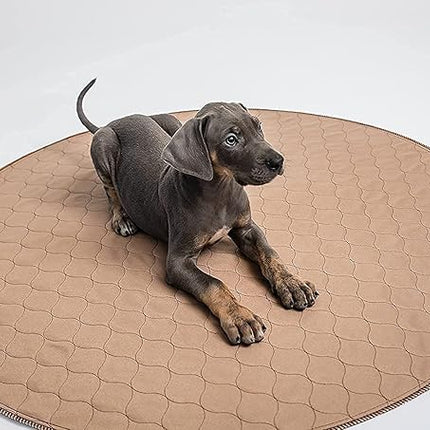 EZwhelp Reusable Dog Pee Pad, Washable Waterproof Mat for Dog Potty Training or Whelping Pad, Round, 60 Inch