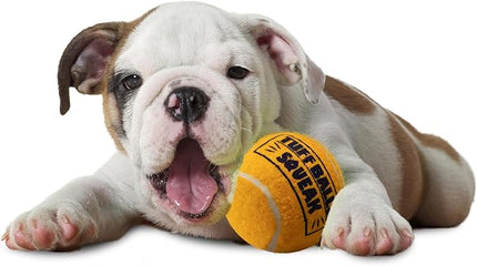 PetSport Giant Tuff Ball - Giant Tennis Balls for Large Dogs, Great for Boredom & Aggressive Chewers, Dog Toy, Certified Non-Toxic, Won't Wear Down Teeth - 4"(6pack)