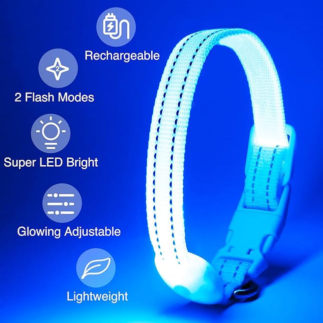 Light Up Dog Collar at Night, Led Dog Collar Adjustable, Rechargeable Waterproof, Dog Lights for Night Walking, Glow in The Dark (S, Blue)