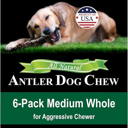 6-Pack Medium Whole Elk Antler Dog Chews (5.5 to 8+ in) – Long Lasting Natural Dog Bones for Small & Medium Dogs Under 40 lbs, Aggressive Chewers, Teeth Cleaning, No Rawhide