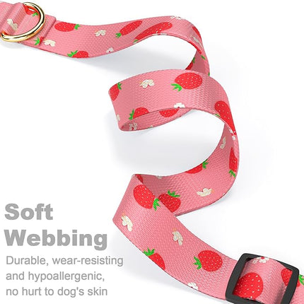 Rnivvi Dog Collar for Small Dogs, Cute Heavy Duty Adjustable Puppy Collar with Quick Release Buckle for Girl & Female, Pet Accessories for Walking Running, XS Length 5/8" Width, Red Strawberries
