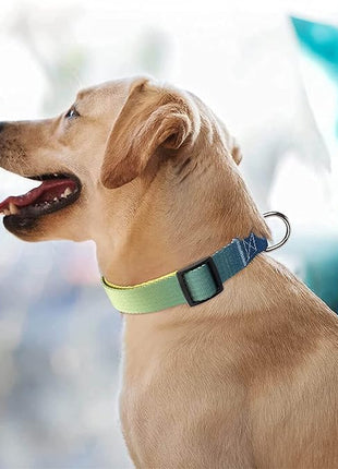 Roses&Poetry Dog Collar for Large Dogs with Gradient Amber, Yellow Reflective Dog Collar Adjustable Large Pet Collars for Small Medium Large Dogs (Amber-L)