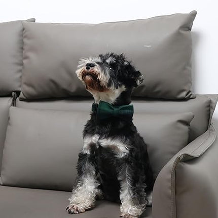 Lionet Paws Gird Dog Collar with Plastic Buckle, Cotton Fall Winter Bowtie Collar, Light Adjustable Collars for Small Medium Large Dogs