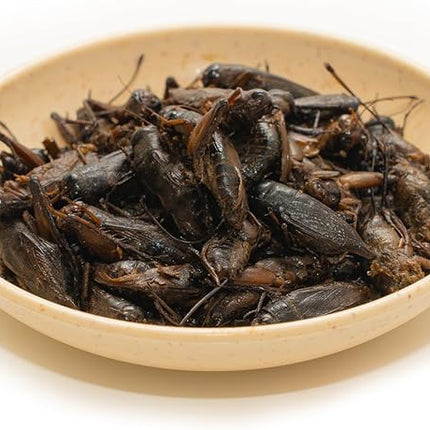 6 Pack Canned Crickets for Reptiles, Fish, Birds and Small Animals, Crickets, Healthy High Protein Treat, Reptile Bird Fish Food 1.2 Ounces Each