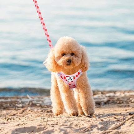 EXPAWLORER Small Dog Harness and Leash Set - Cute Puppy Harness Leash Dog Collar with AirTag Holder Silicone Case, Soft Padded Step in Pet Vest Reflective for Outdoor Walking, Strawberry M