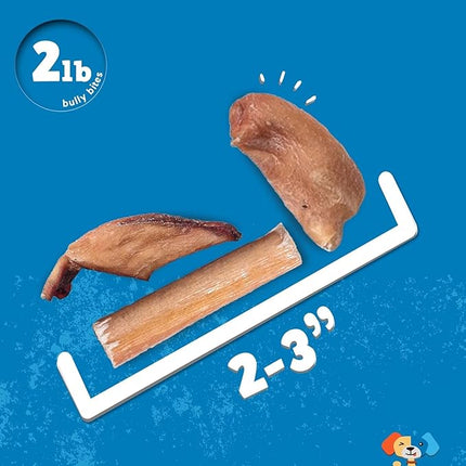 Jack&Pup Bully Bites for Dogs (1 lb. Bag), Small Bully Sticks for Small Dogs, 1-3 Inch Dog Chews for Puppies, Seniors and Smaller Dogs