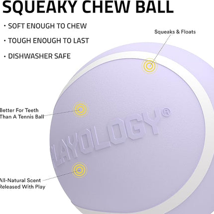 Playology Dog Toys | Squeaky Chew Ball - Bouncy Durable Floating Fetch Ball for Dogs | Jumbo Lamb Scented Toy - Easy to Clean and Made from Non Toxic Materials
