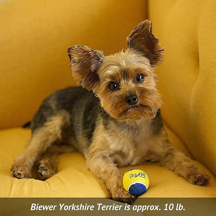 Midlee X-Small Dog Tennis Balls 1.5" Pack of 12 (Blue/Yellow, 1.5 inch)