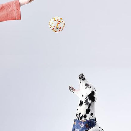 Dog Balls, Indestructible Dog Toy Ball for Aggressive Chewers, Durable High Elasticity Interactive Ball for Training Dog Catch and Fetch, Large Medium Small Dog and Puppies(2.5in, 4pcs)