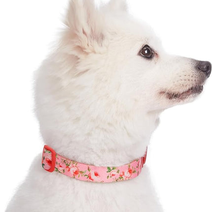 Blueberry Pet 7 Patterns Spring Scent Inspired Pink Dog Collar, Medium, Neck 14.5"-20", Dog Collars, Puppy Collar, Flowers for Dog Collars Girl, Purple Dog Collar, Girl Dog Accessories