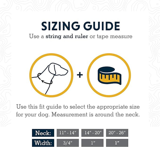 Ruffwear, Crag Dog Collar, Stylish Adventure Collar with Premium Reflective Design, Quick Release Buckle, Lightweight All-Day Comfort, Sunset, 20"-26"