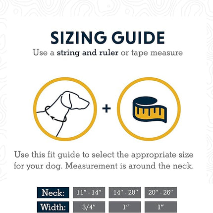 Ruffwear, Crag Dog Collar, Stylish Adventure Collar with Premium Reflective Design, Quick Release Buckle, Lightweight All-Day Comfort, Sunset, 20"-26"