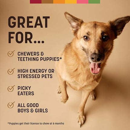 Earth Animal No Hide Chews - Long Lasting Rawhide Free Medium Dog Chews Rolls, Venison - 2 Count