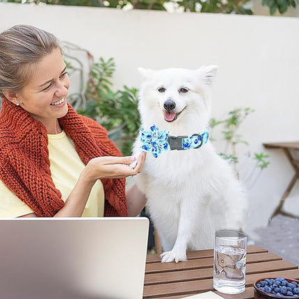 Lionheart glory Dog Collar with Flower Blueberries Print Collars for X-Small Dogs, Spring Summer Cute Duty Adjustable Dog Flowers Collar Puppy Collars Bows Pet Gift