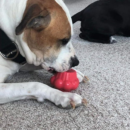 SodaPup MuttsKickButt Cupcake – Durable Dog Treat Dispenser & Chew Toy Made in USA from Non-Toxic, Pet Safe, Food Safe Natural Rubber for Mental Stimulation, Problem Chewing, Calming Nerves & More