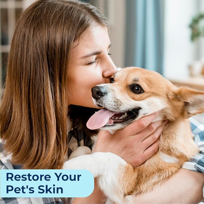 Replenish Aloe and Oatmeal Dog Shampoo - Hypoallergenic Pet Shampoo for Allergies & Sensitive Skin, Medicated Dog Shampoo for Itching Relief & Oatmeal Bath for Dogs Dry Flaky Skin Treatment – 12 Oz