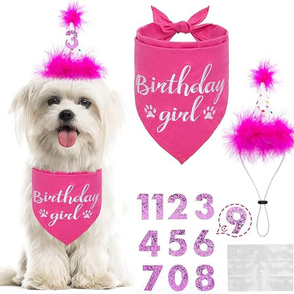BINGPET Dog Birthday Bandana Scarf and Reusable Hat with 0-8 Figures,Cute Puppy Dog Birthday Outfit Party Supplies Gift for Small Medium Large Dogs Girl