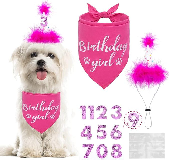 BINGPET Dog Birthday Bandana Scarf and Reusable Hat with 0-8 Figures,Cute Puppy Dog Birthday Outfit Party Supplies Gift for Small Medium Large Dogs Girl