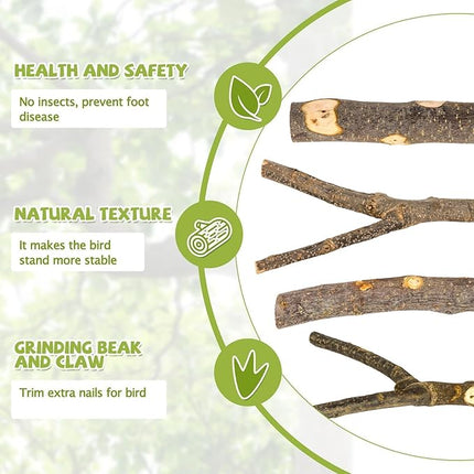 5PCS Natural Wood Bird Perch Set - Straight & Forked Branch Perches Cage Perches Accessories for Small Medium Birds, Parakeets, Budgies, Cockatiels, Conures