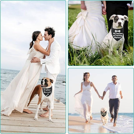 Blank Dog Bandanas Medium-2PCS, DIY Solid Black Triangle Scarf Premium Cotton Handkerchief or Bib, Personalized Design Birthday/Party Fun Idea Gift for Large Medium Pets