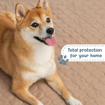 EZwhelp Washable Pee Pads for Dogs - Waterproof Training Pads for Dogs, Reusable & Sanitary, Rounded Corners, Laminated, Lightweight, Durable, Pet Essentials for Training and Whelping, 47" x 47"