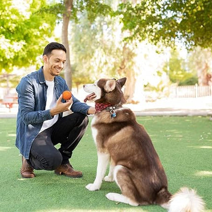 Snug Rubber Dog Balls for Small and Medium Dogs - Tennis Ball Size - Virtually Indestructible (3 Pack - Orange)