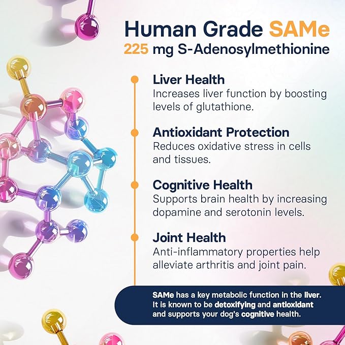 Liver Health Supplement for Medium Dogs - Milk Thistle for Dogs Liver Support with S-Adenosylmethionine (Same) & Silybin - 30 Tablets